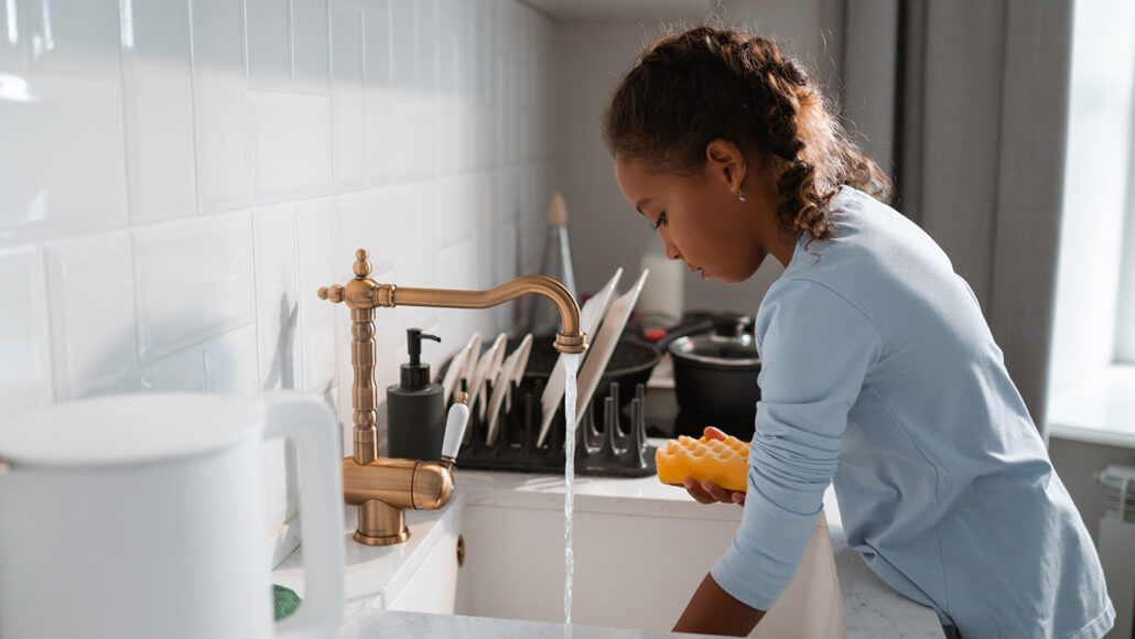 ten things should you not put down your garbage disposal